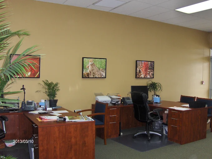 Chair and table in Office